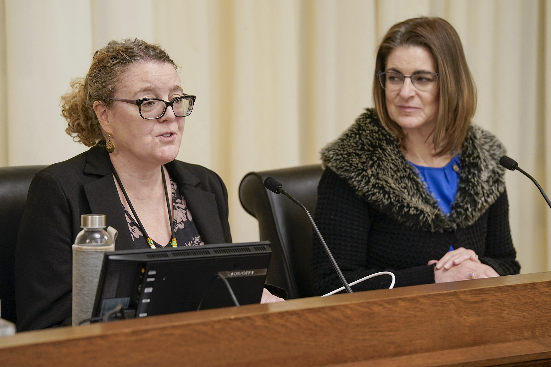 Caroline Palmer, interim supervisor of the Violence Prevention Programs Unit at the Department of Health, testifies before the House public safety committee Feb. 12 in support of HF128. Rep. Marion Rarick is the bill sponsor. (Photo by Michele Jokinen)